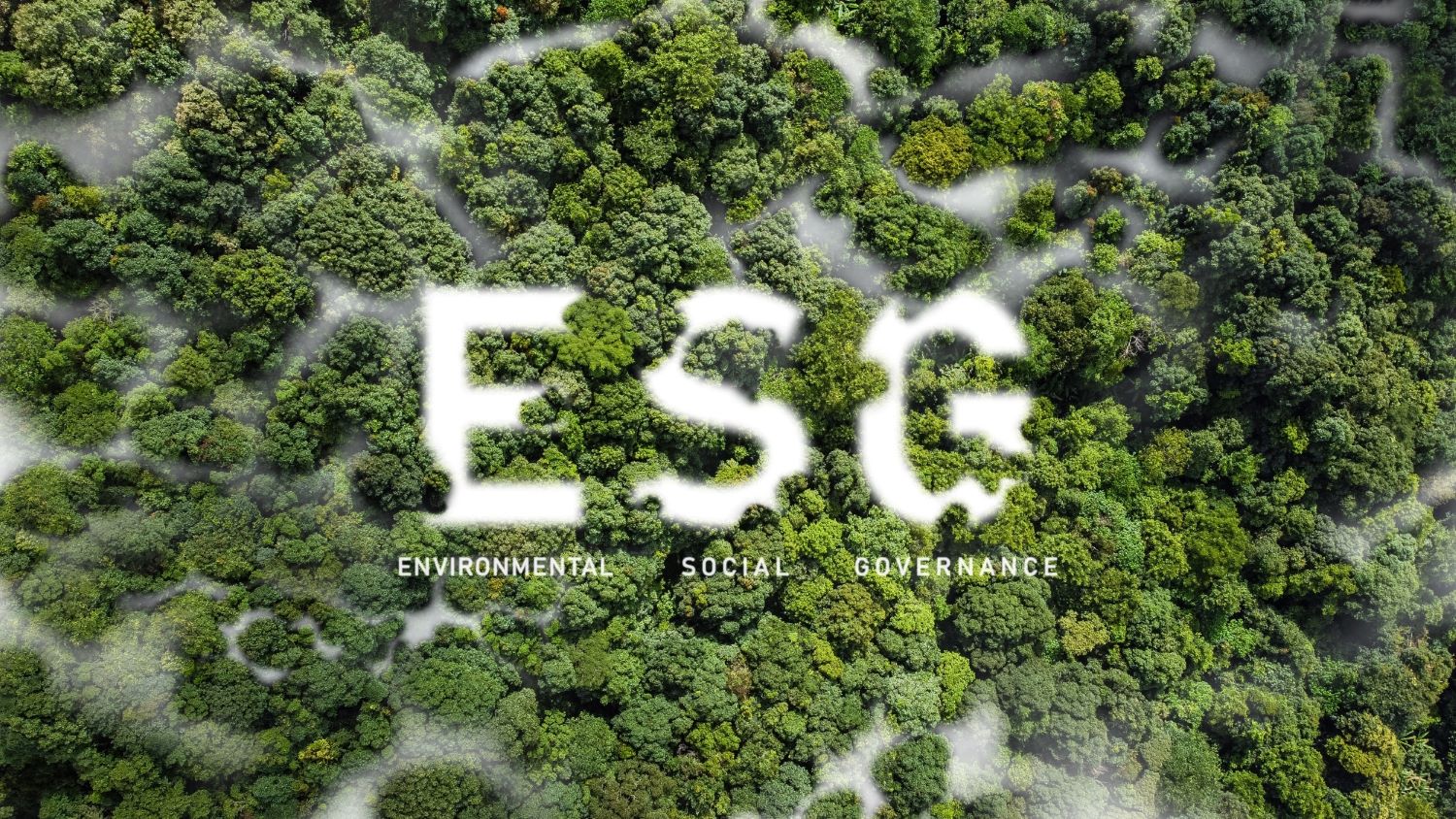 bodog博狗动力ESG评级周全提升：Wind ESG评级再获AA级，，，一连两年稳居行业第一